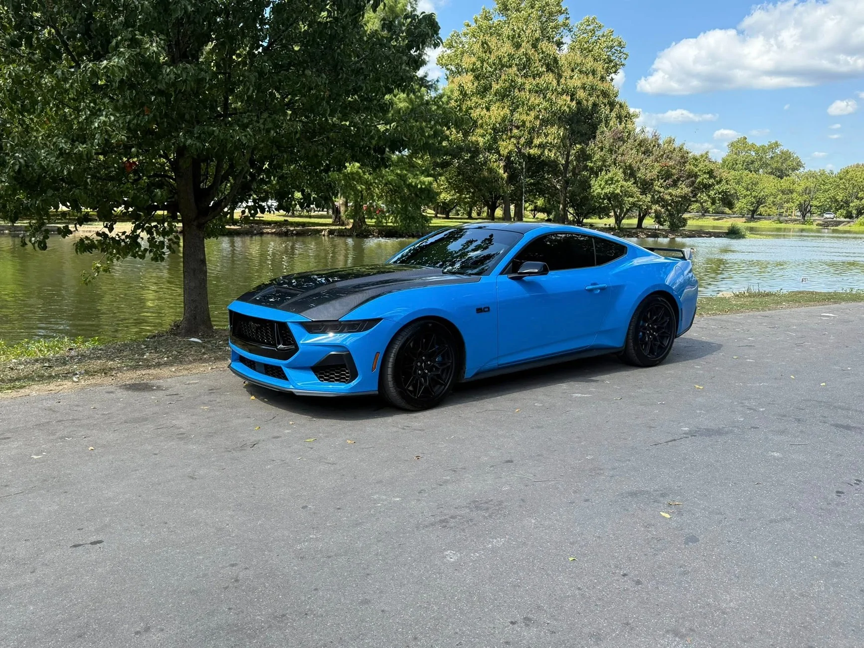 S650 Mustang Vanity plate and tint tinted