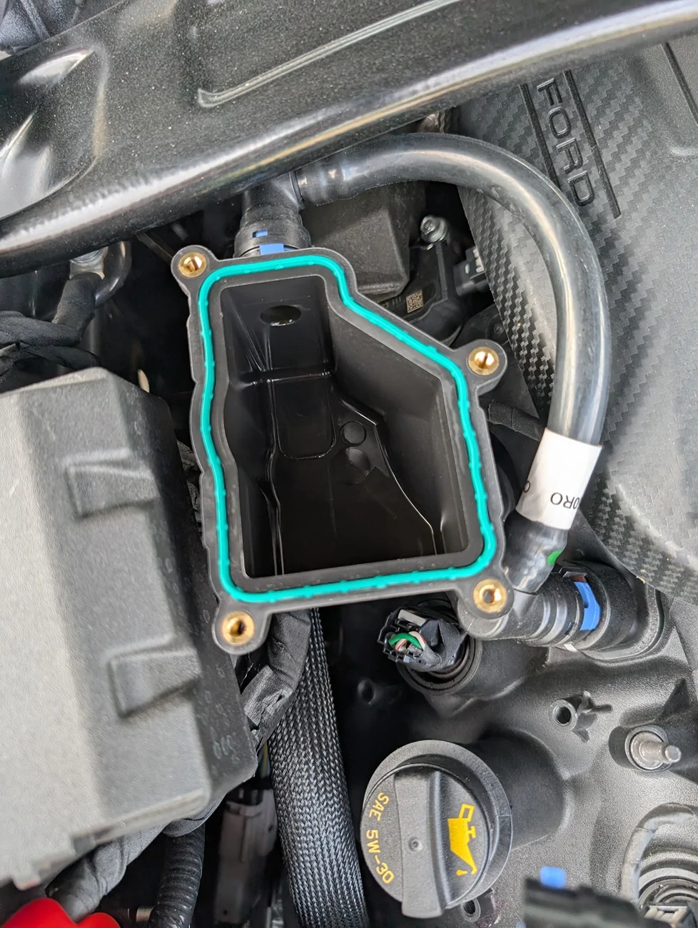 S650 Mustang Catch Can PXL_20250905_225009985