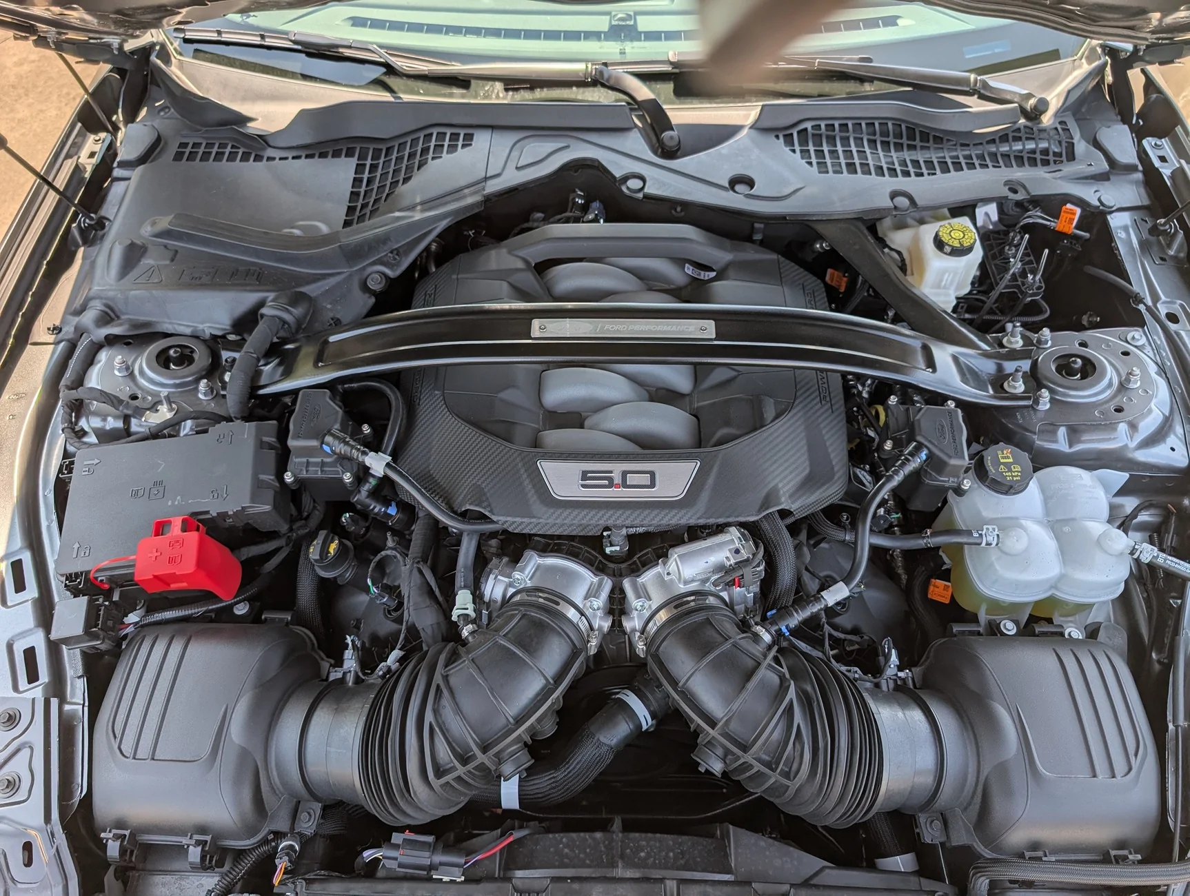 S650 Mustang Catch Can PXL_20250909_185223275