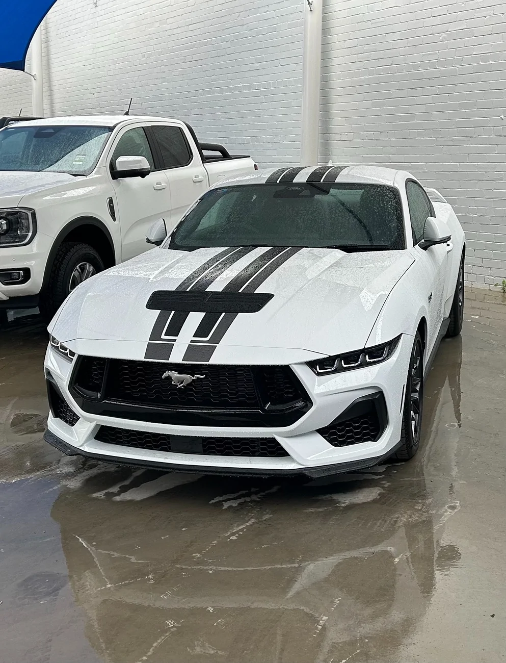 S650 Mustang New s650 owner IMG_4695