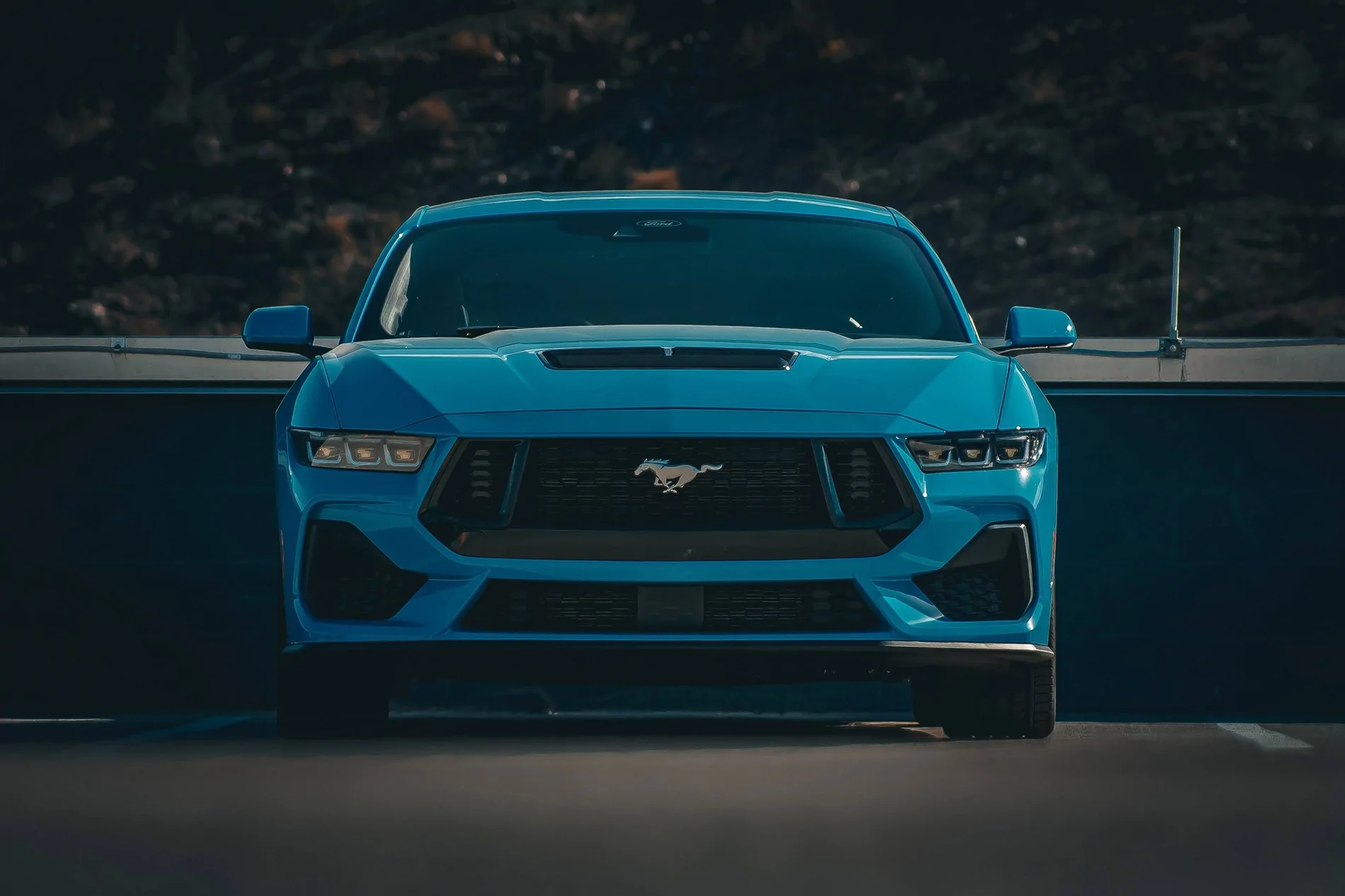 S650 Mustang Cool Daily Random S650 Mustang Pics -- Post Yours! 📸 IMG_0442-EDIT