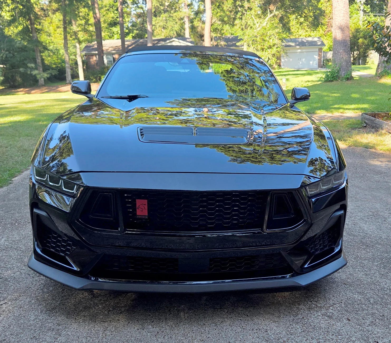 S650 Mustang Coyote Badge over MP Concepts Grille 20250915_094912 copy