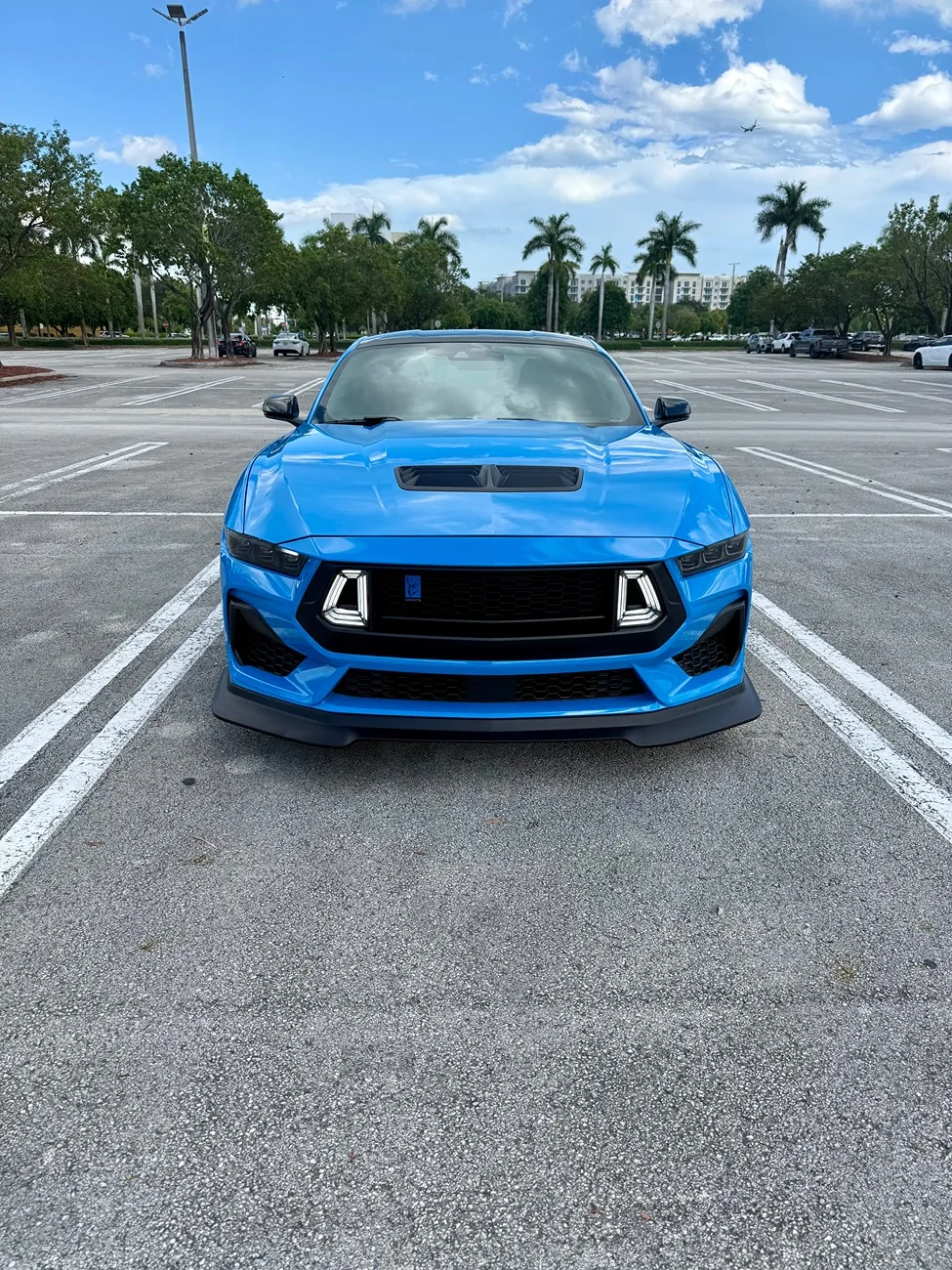 S650 Mustang Coyote Badge over MP Concepts Grille IMG_6449
