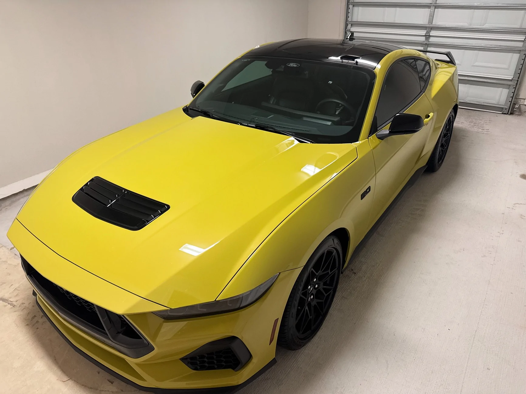 S650 Mustang Cool Daily Random S650 Mustang Pics -- Post Yours! 📸 257A47EE-B33A-4E62-A3DC-EF8A427CE7C2