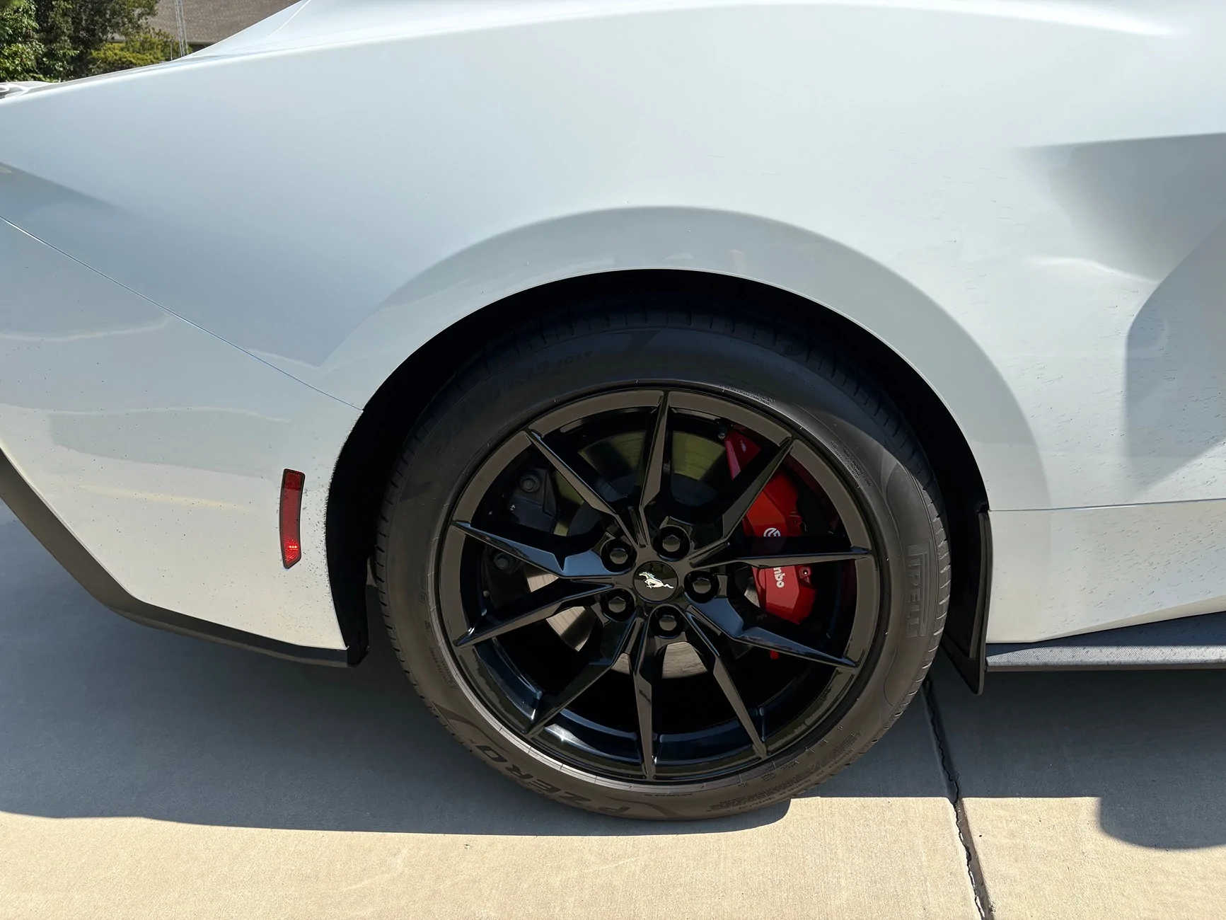 S650 Mustang Cool Daily Random S650 Mustang Pics -- Post Yours! 📸 IMG_5521