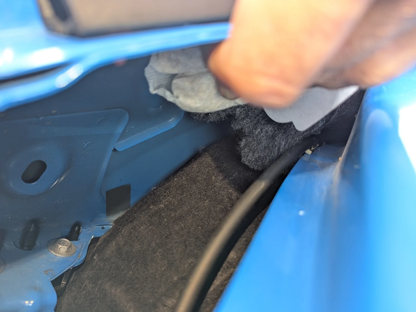 S650 Mustang mice in hvac??? 1000002620