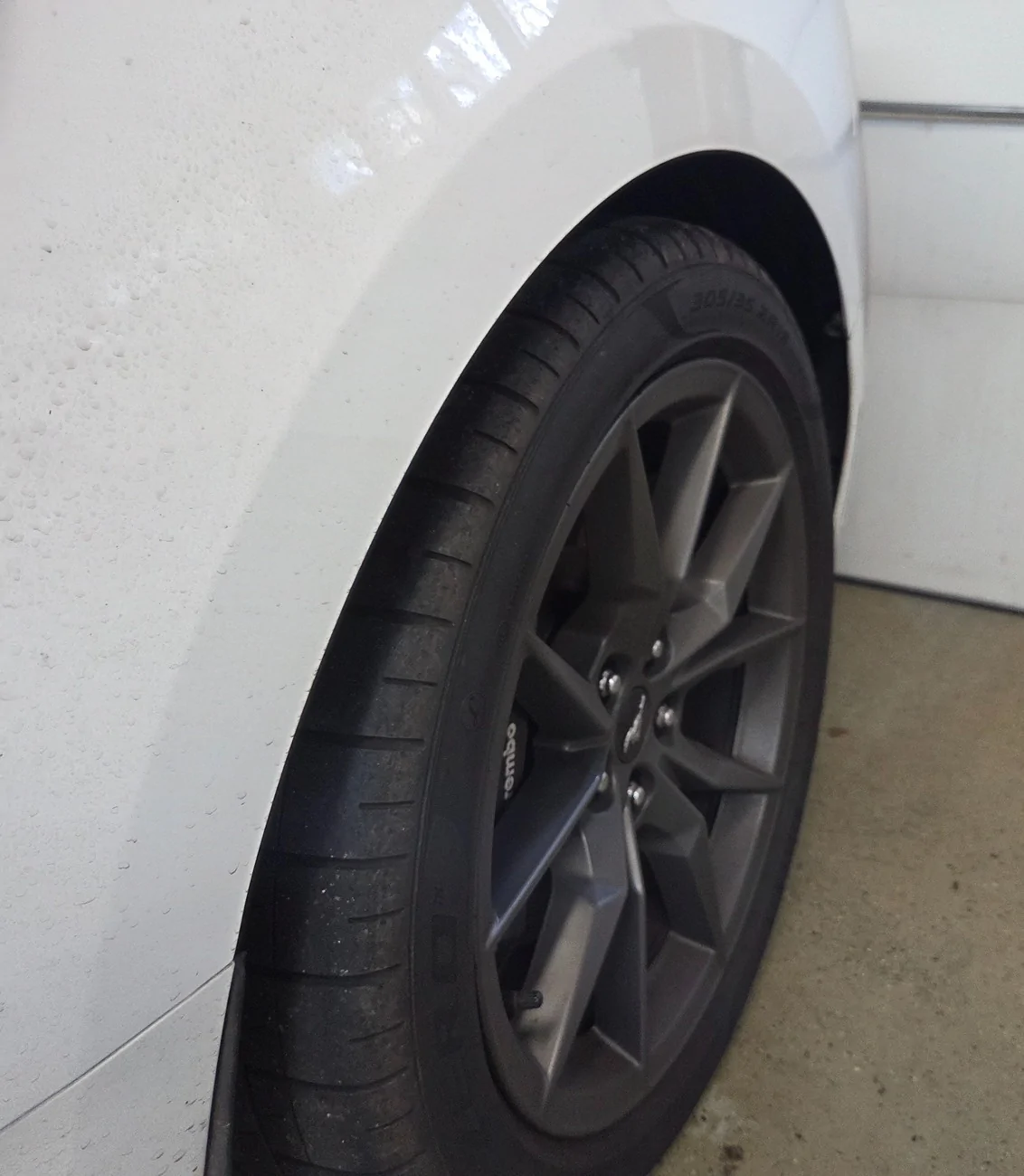 S650 Mustang dark horse 19x9.5 Front, 19x10 max tire size? 20250923_082733
