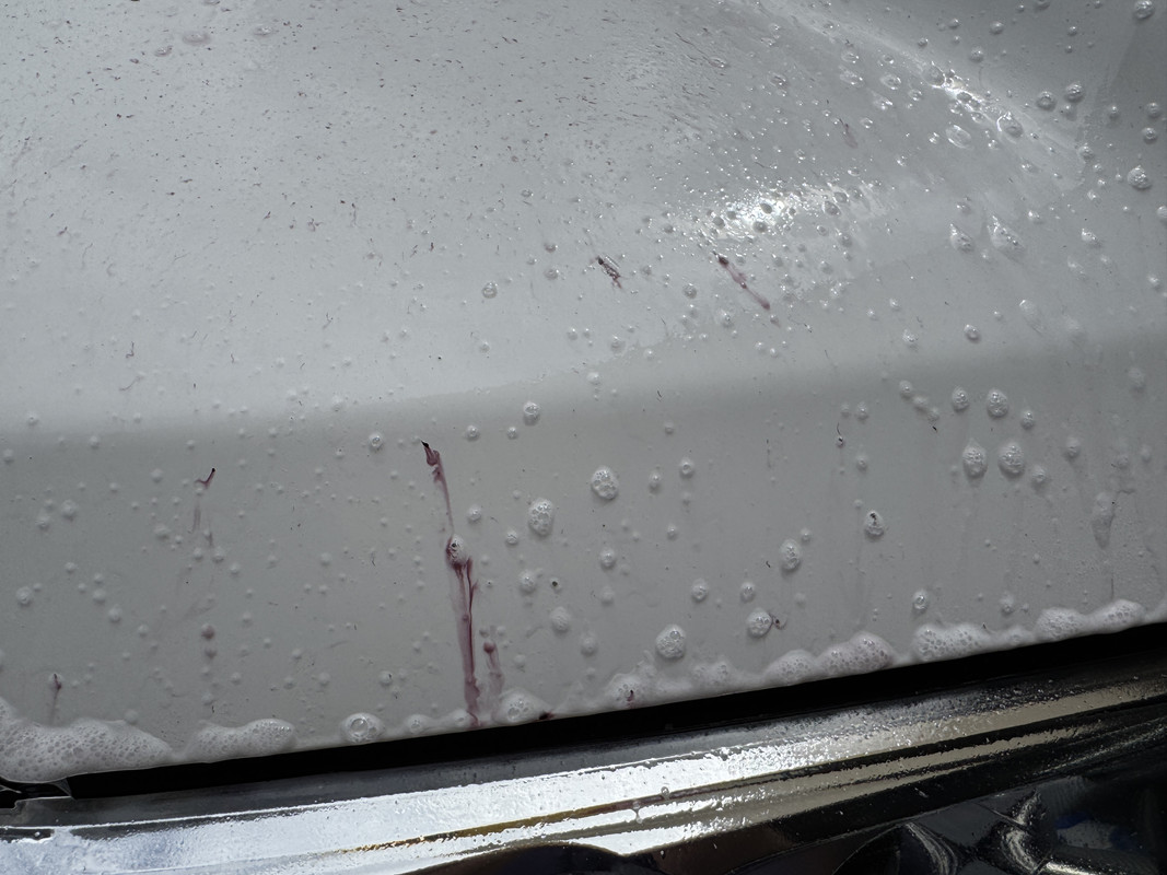 S650 Mustang DFB's Detailing Garage IMG-7447