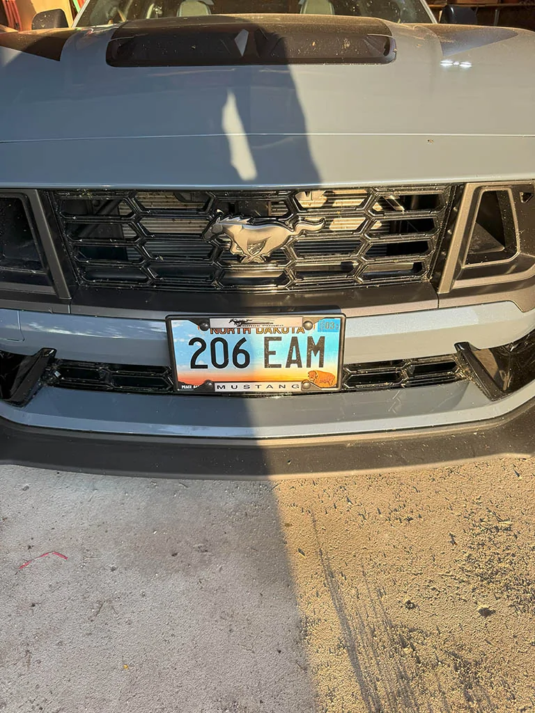 S650 Mustang emblem and plate IMG_0995