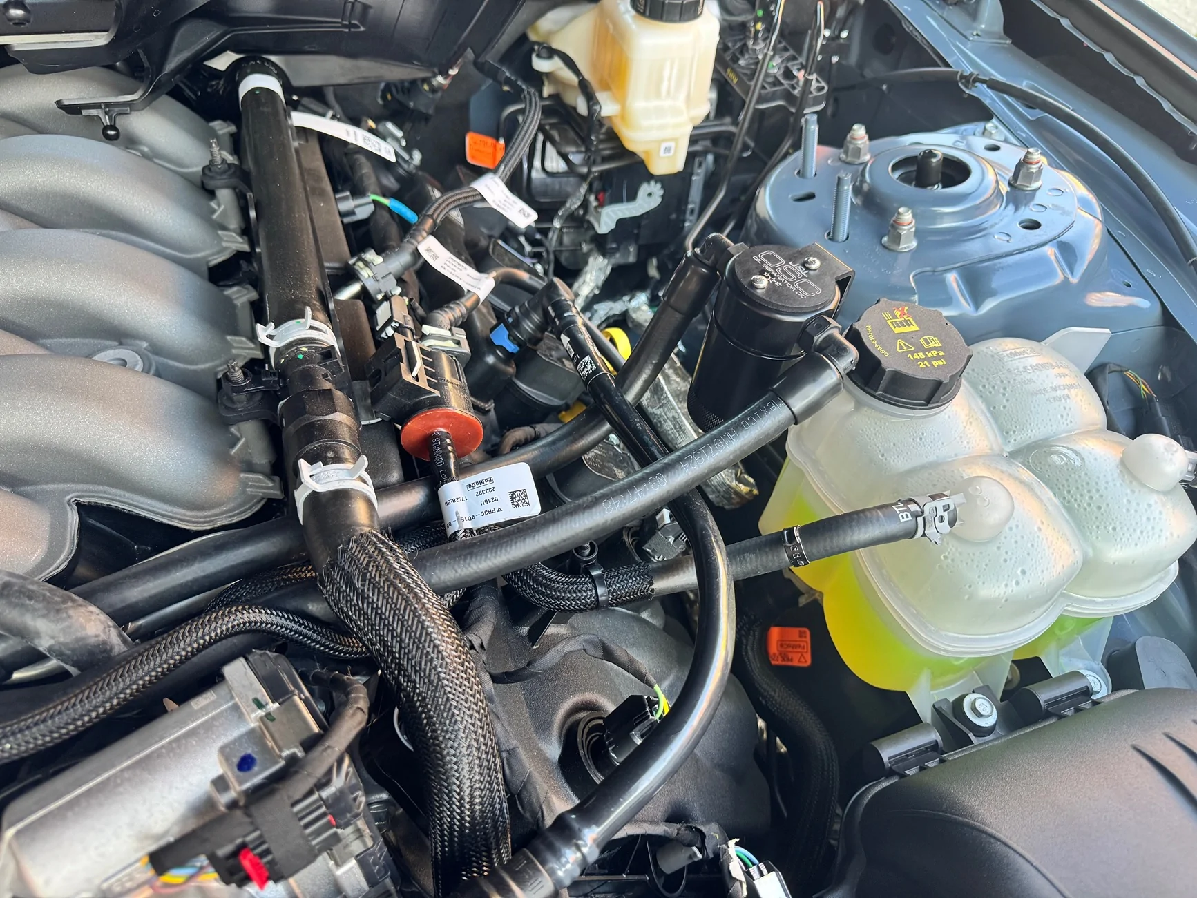 S650 Mustang Catch Can IMG_0713