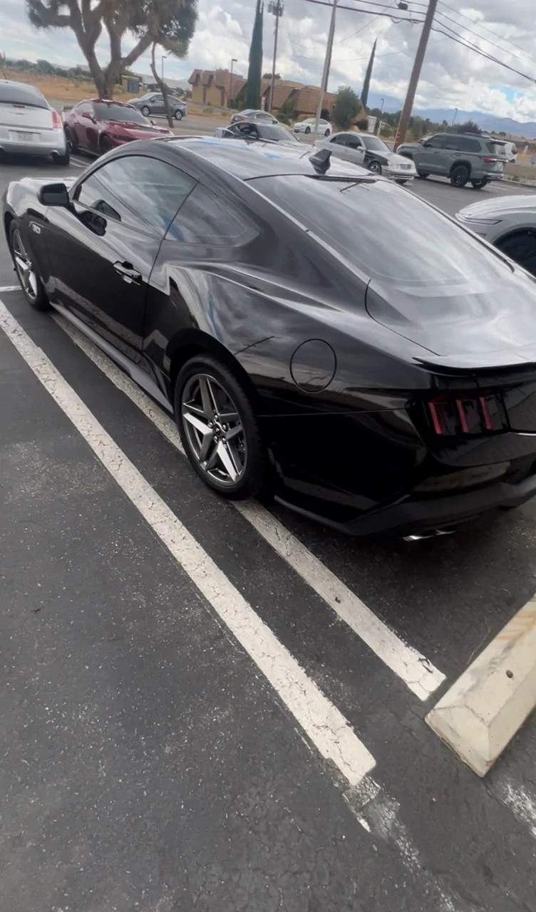 S650 Mustang Black Car On What Color Rims? photo_5093933992083393780_y