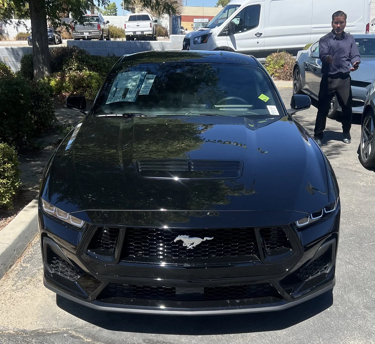 S650 Mustang Black Car On What Color Rims? photo_5093933992083393785_y