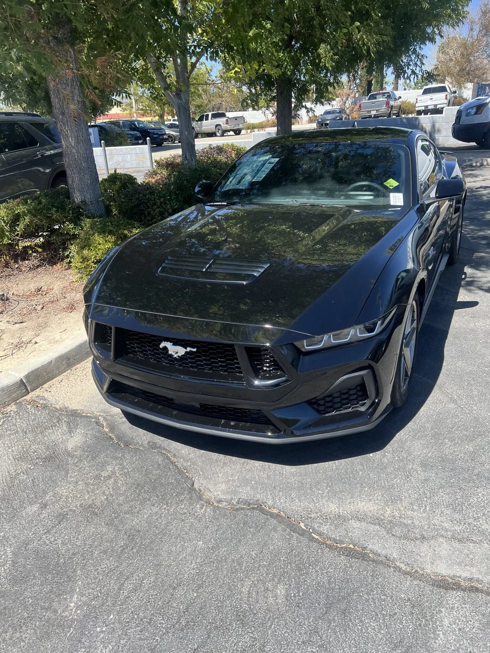 S650 Mustang Black Car On What Color Rims? photo_5093933992083393784_y