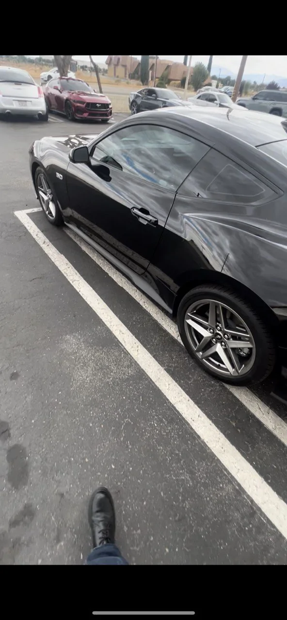 S650 Mustang Black Car On What Color Rims? photo_5093933992083393778_y