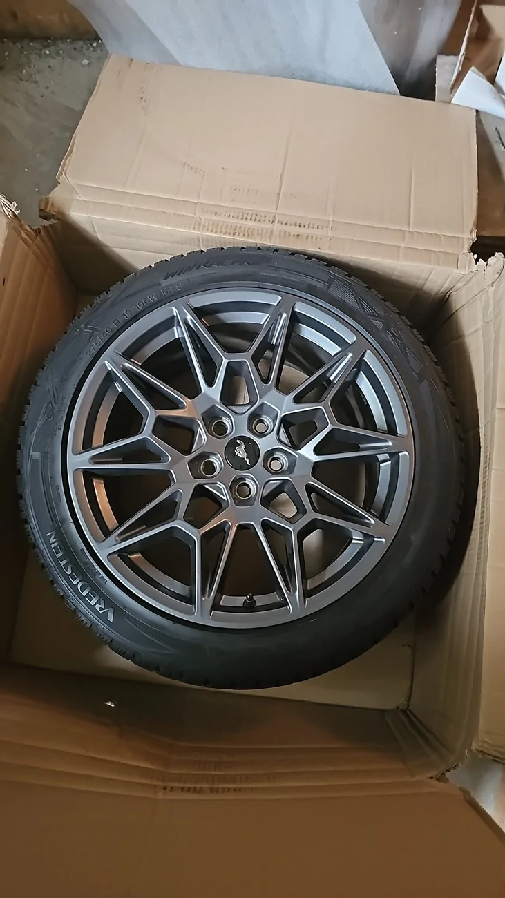 S650 Mustang Vapid Dominator GT (10R80, 401A, PP, AE, NPP, MR, Recaro) IMG-20250926-WA0057