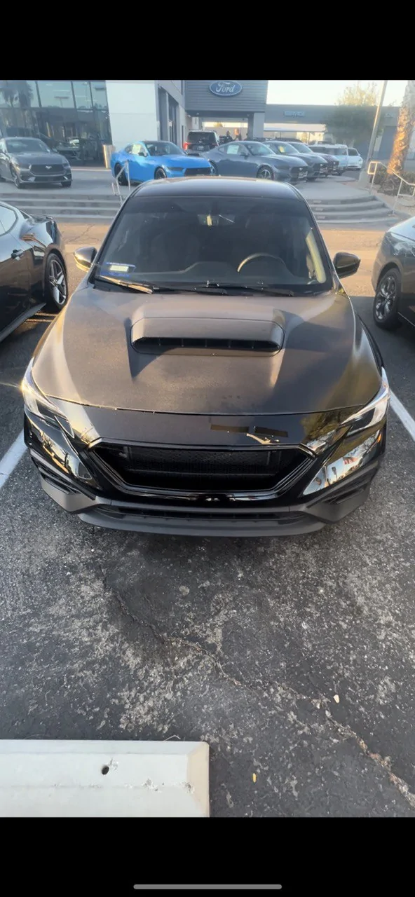 S650 Mustang Black Car On What Color Rims? photo_5098565147944487754_y
