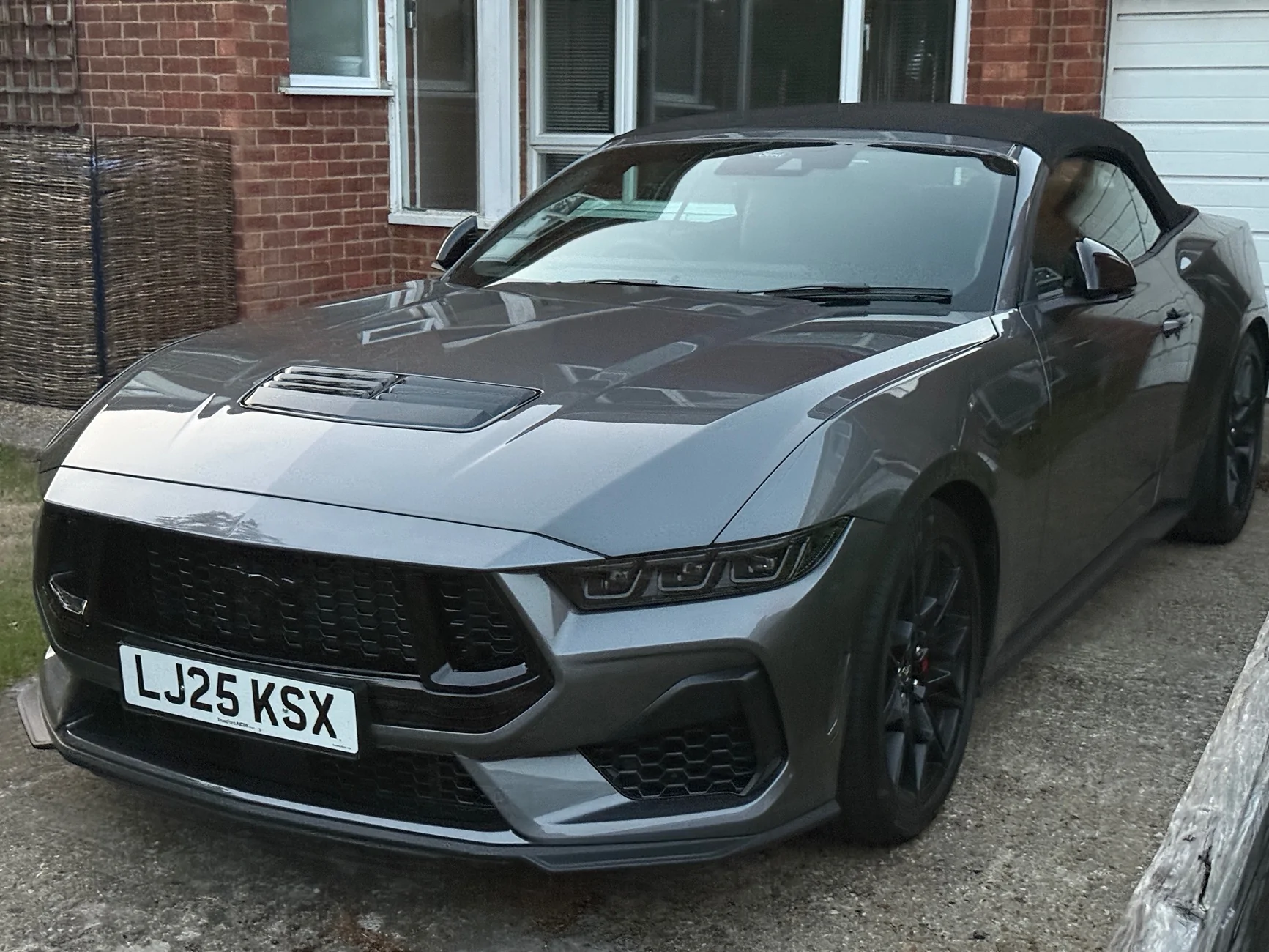 S650 Mustang Official DARK MATTER GRAY Mustang S650 Thread IMG_5195