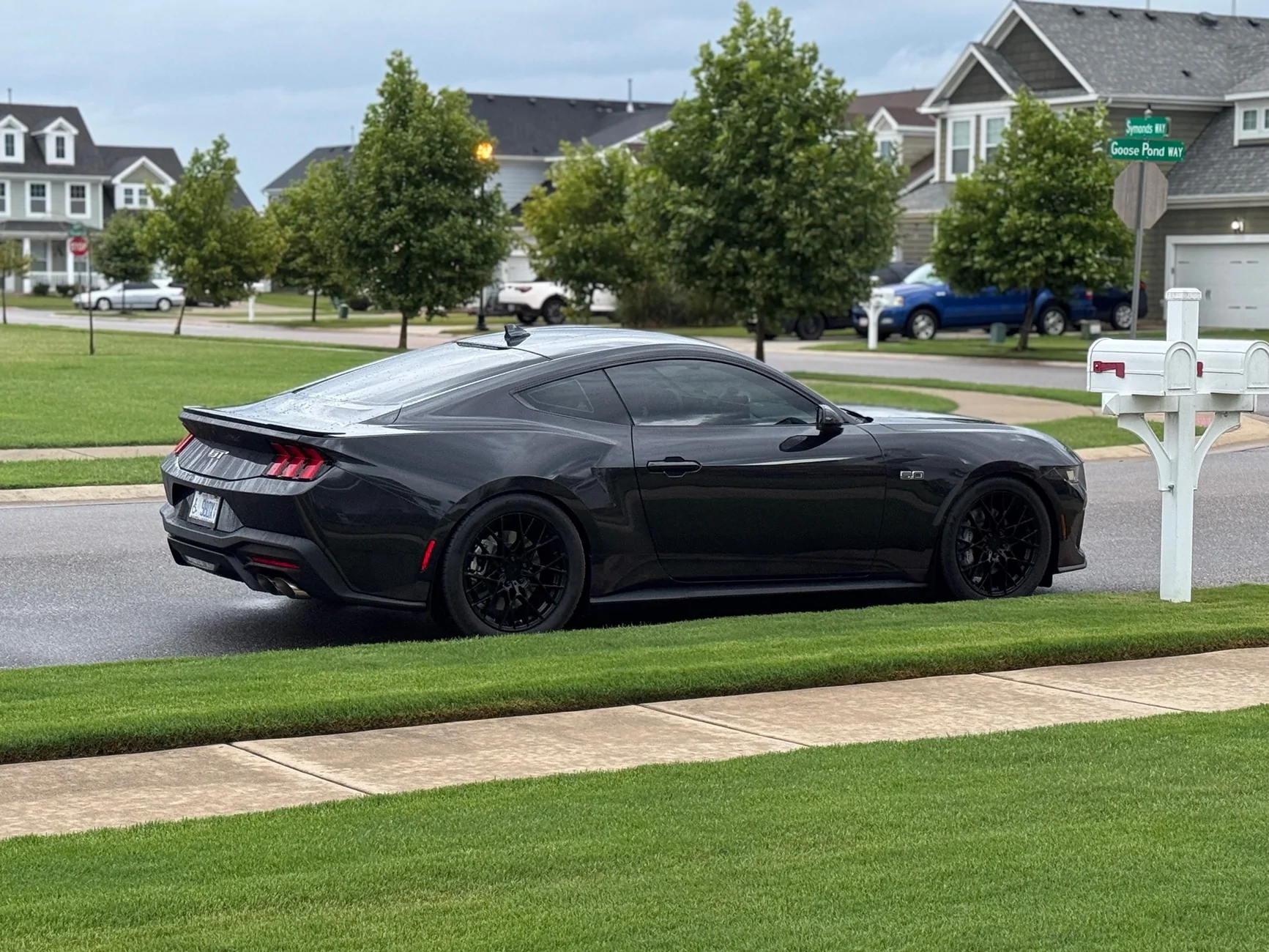 S650 Mustang Official DARK MATTER GRAY Mustang S650 Thread IMG_0710