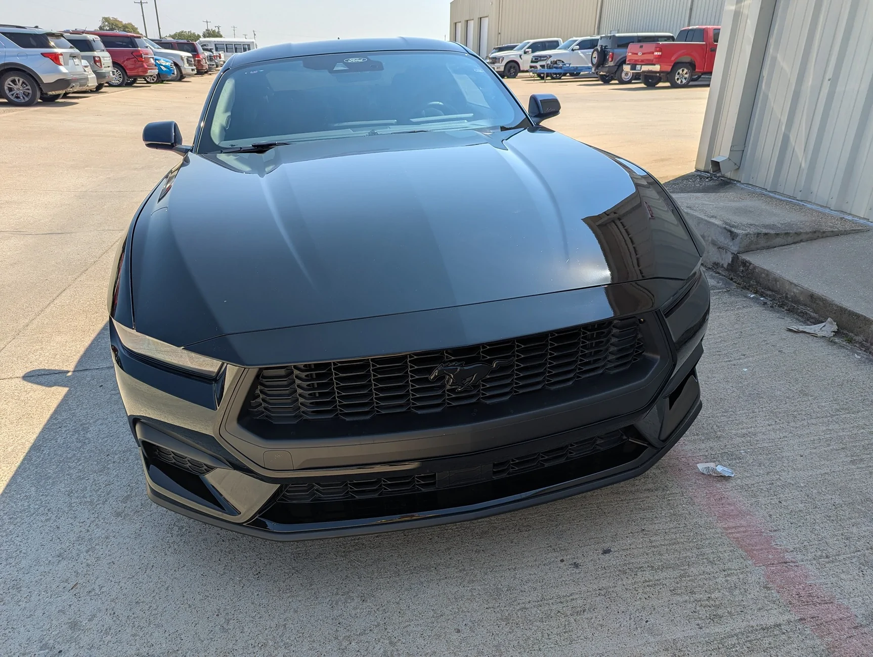 S650 Mustang Introductions & Welcome Thread 👋 1976dbd0-c296-4b39-8118-09a51bdfd91d-1_all_162807