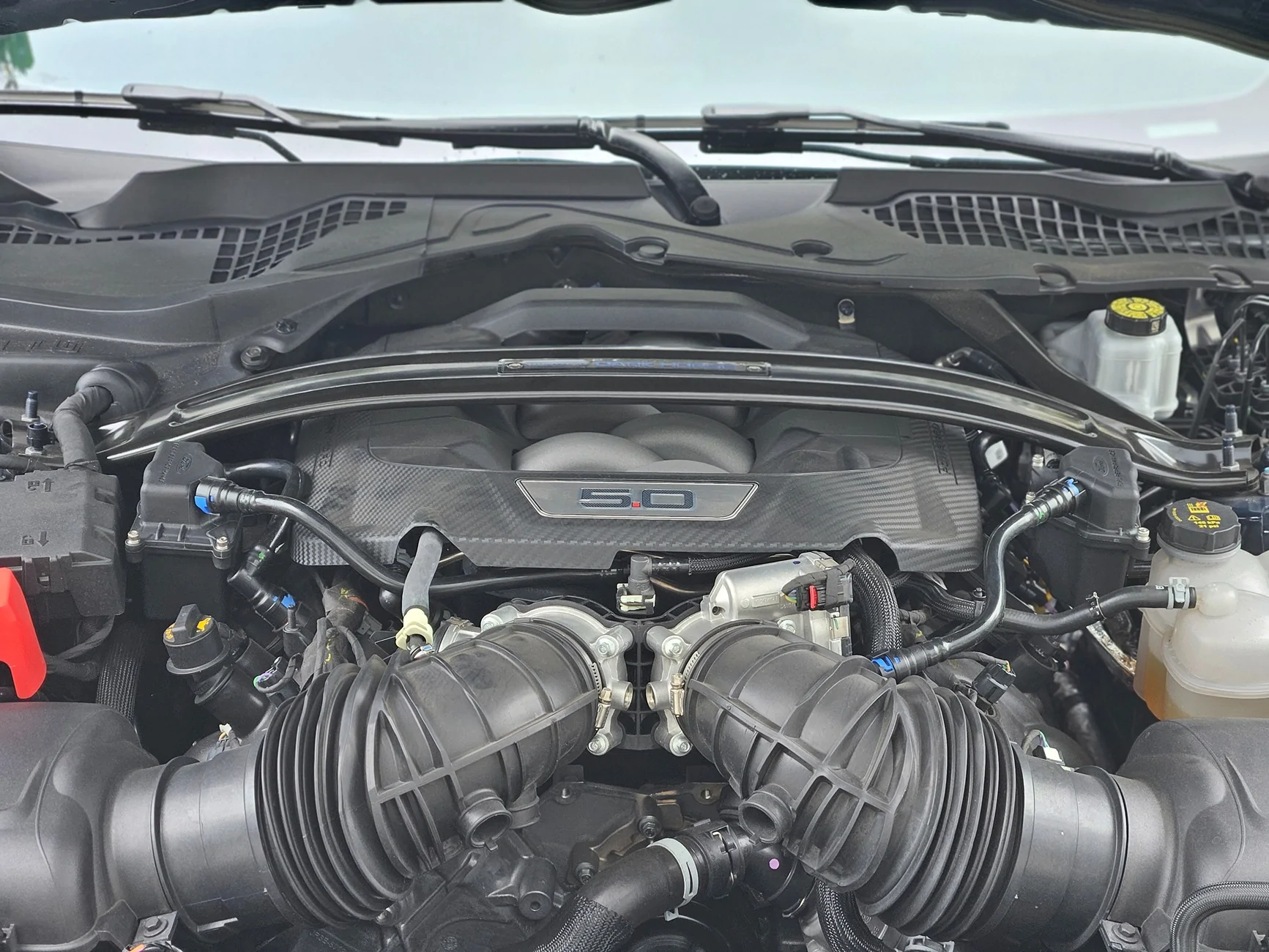 S650 Mustang Catch Can 20250528_150429