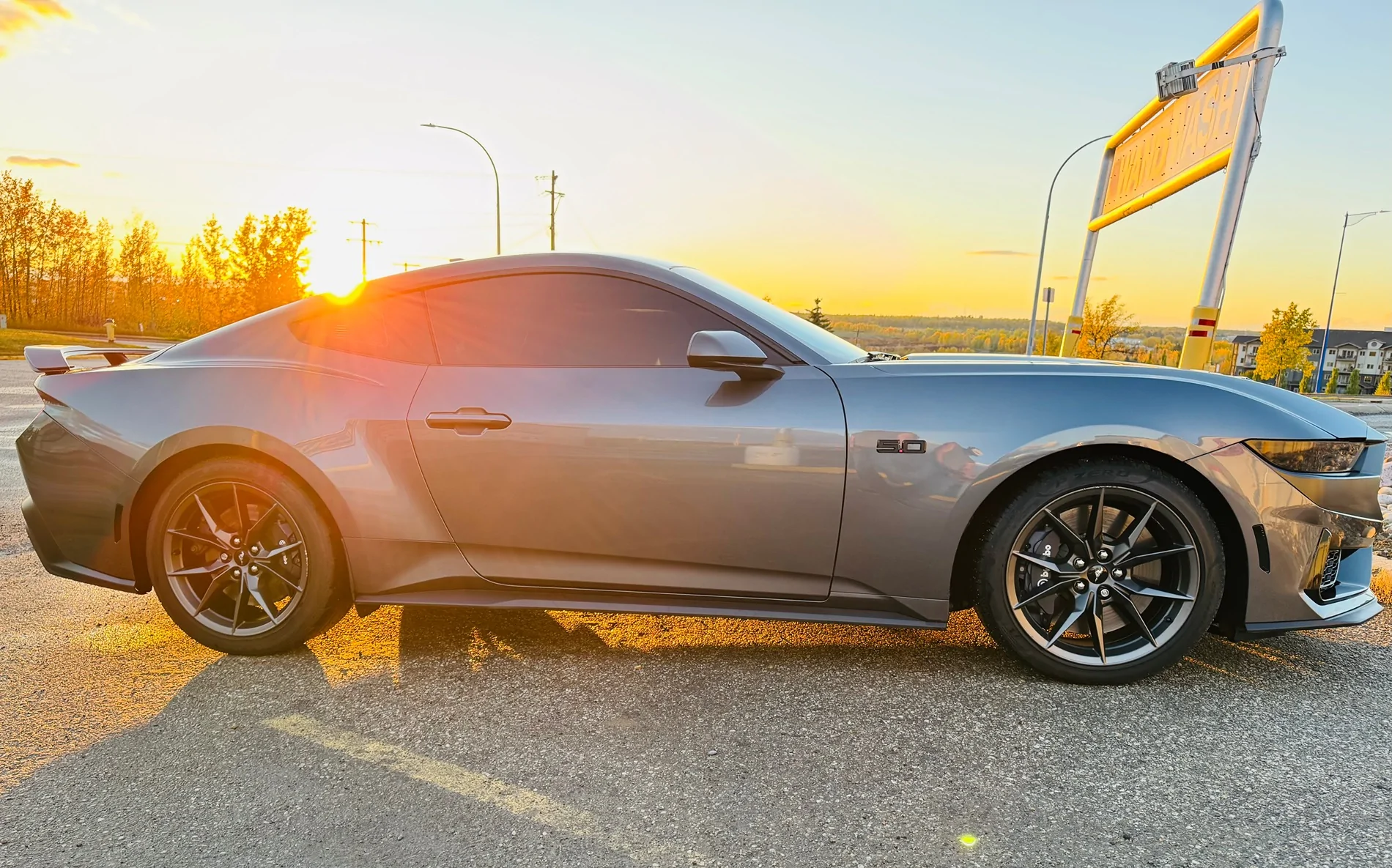 S650 Mustang Cool Daily Random S650 Mustang Pics -- Post Yours! 📸 IMG_8821