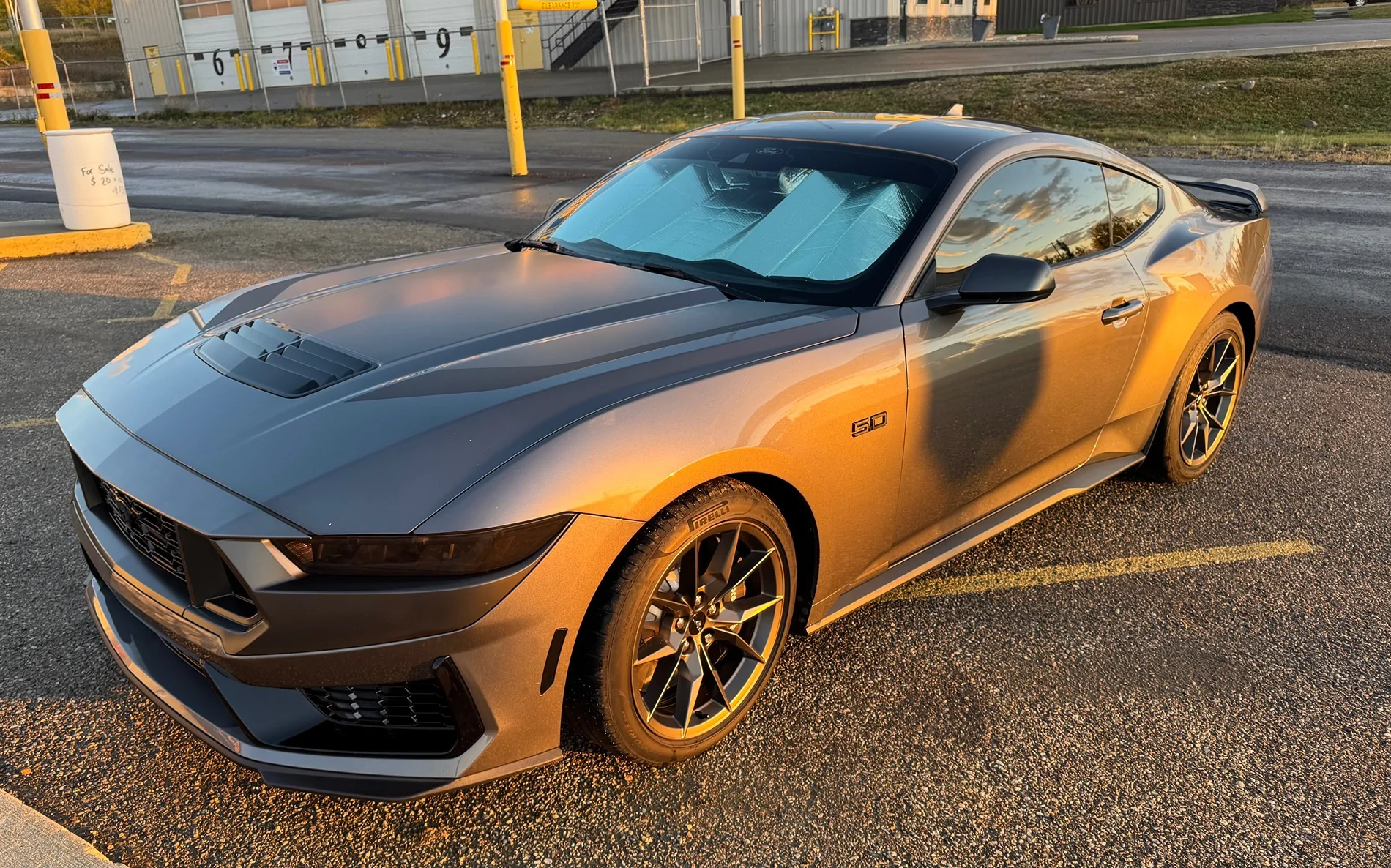 S650 Mustang Cool Daily Random S650 Mustang Pics -- Post Yours! 📸 IMG_8820