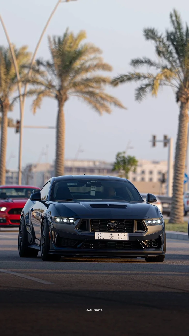 S650 Mustang Cool Daily Random S650 Mustang Pics -- Post Yours! 📸 IMG_4817