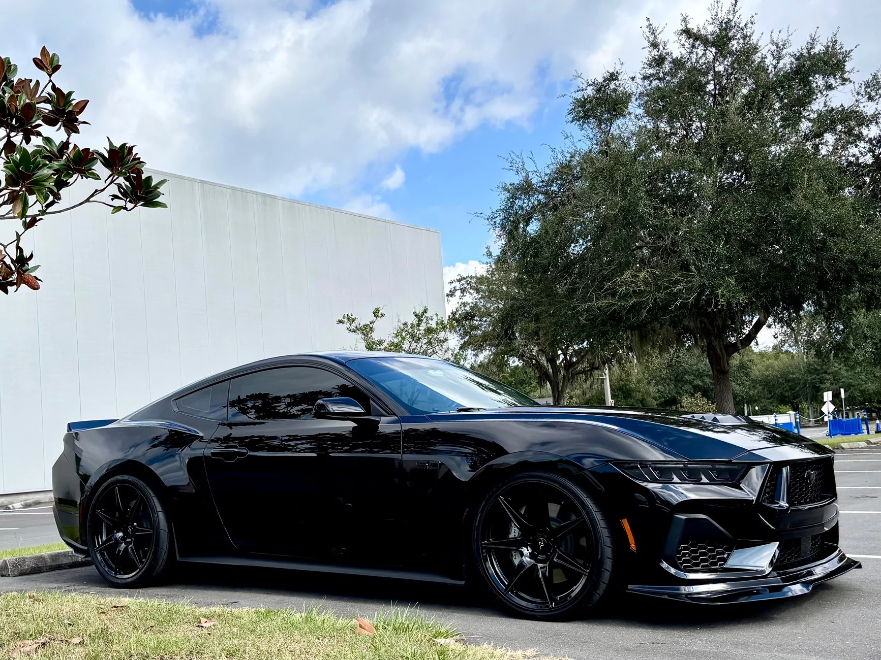 S650 Mustang What did you do to your S650 Mustang today?? 🙋🏻‍♂️ IMG_6652