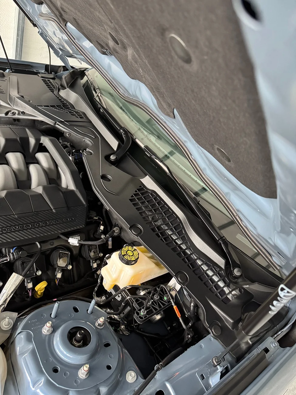 S650 Mustang 25C43 Water Intrusion Recall IMG_7702
