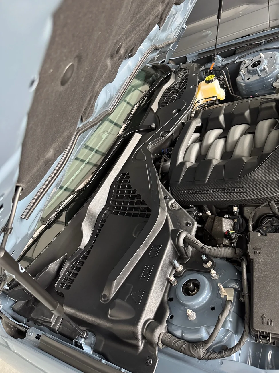S650 Mustang 25C43 Water Intrusion Recall IMG_7704