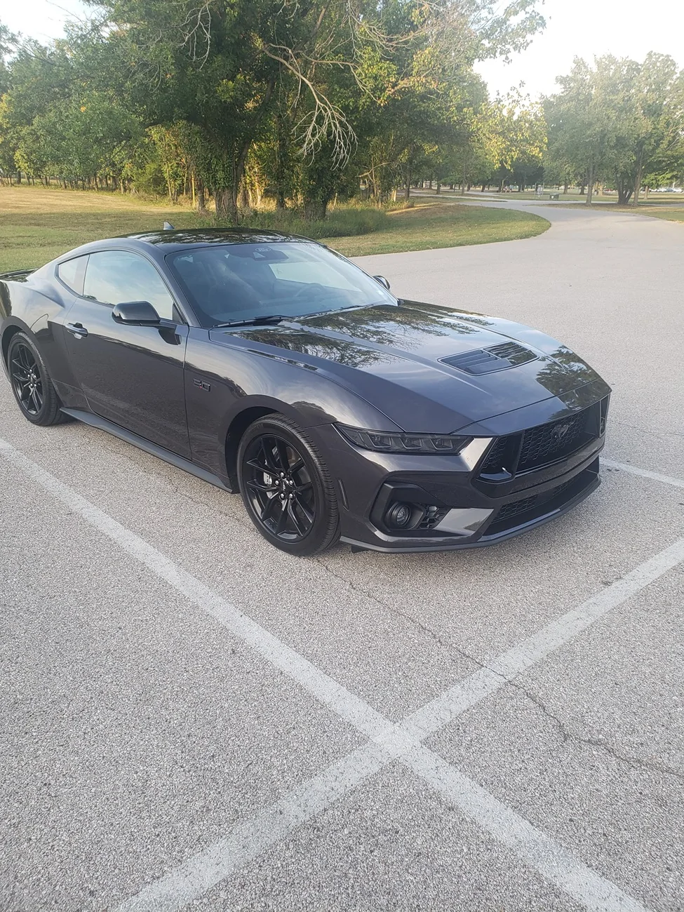 S650 Mustang Two Step Paint Correction to remove swirls 1759805010917-zg