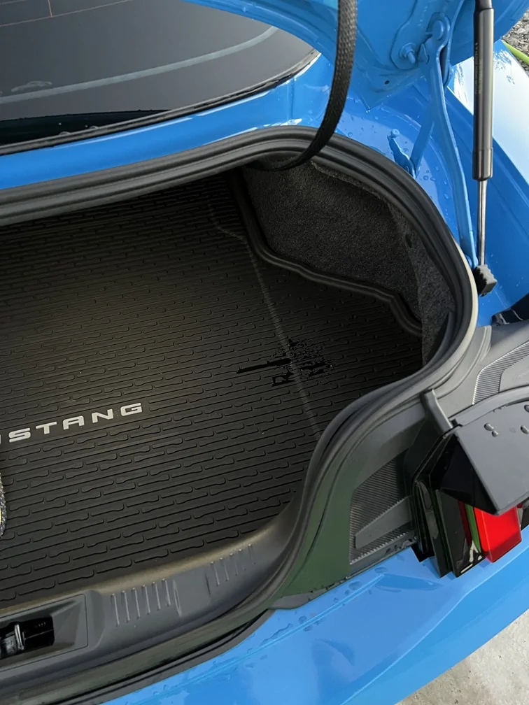 S650 Mustang Leaking Rear Window Seal/Seam IMG_2453