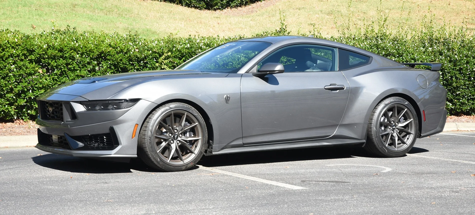 S650 Mustang Back in the saddle again 1