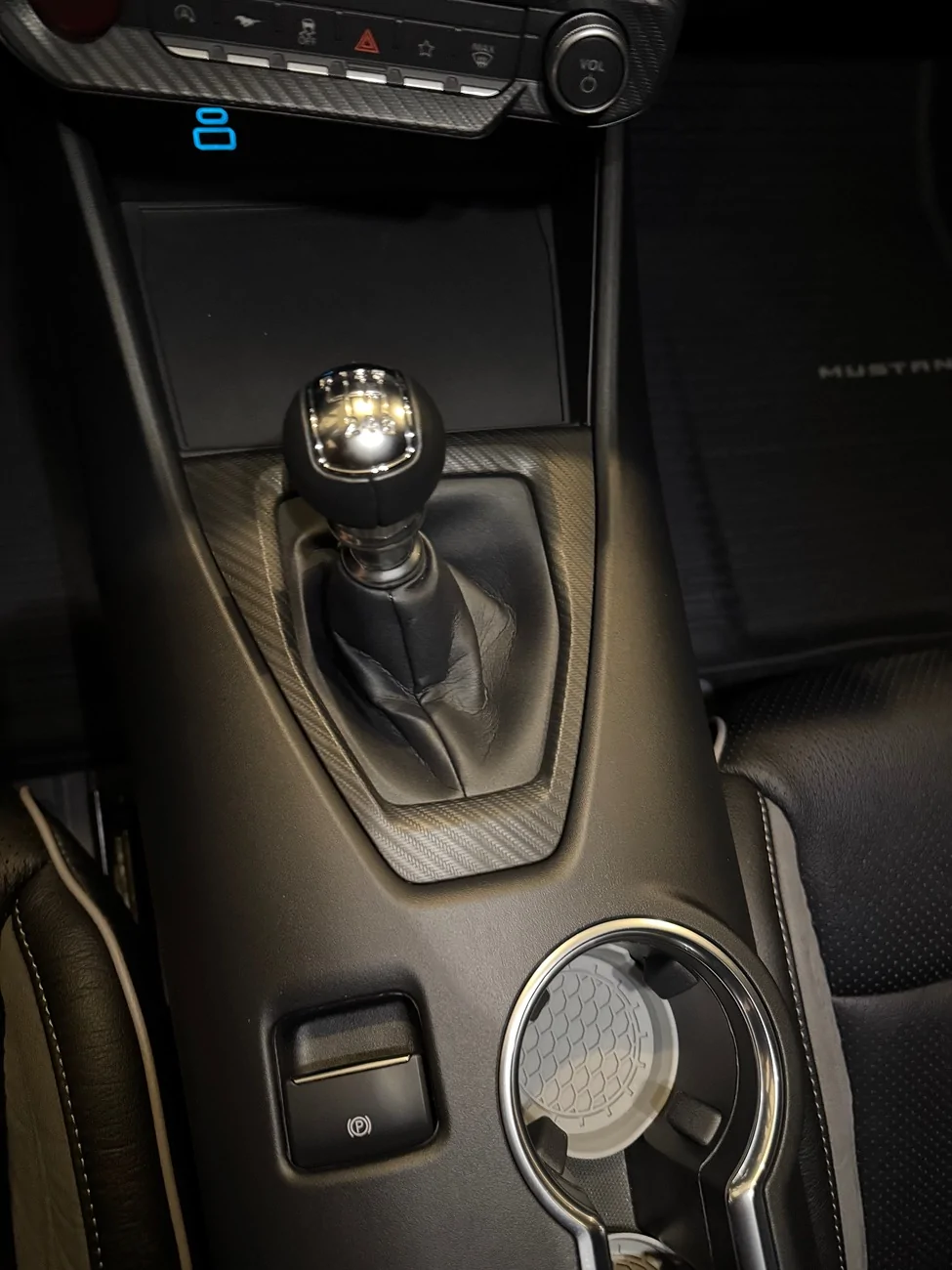 S650 Mustang Anti Theft Solutions IMG_1188