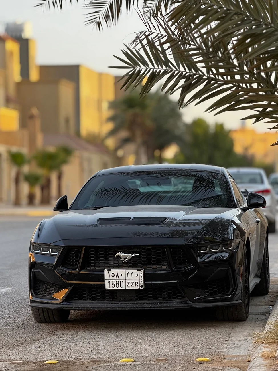 S650 Mustang Cool Daily Random S650 Mustang Pics -- Post Yours! 📸 IMG_6711