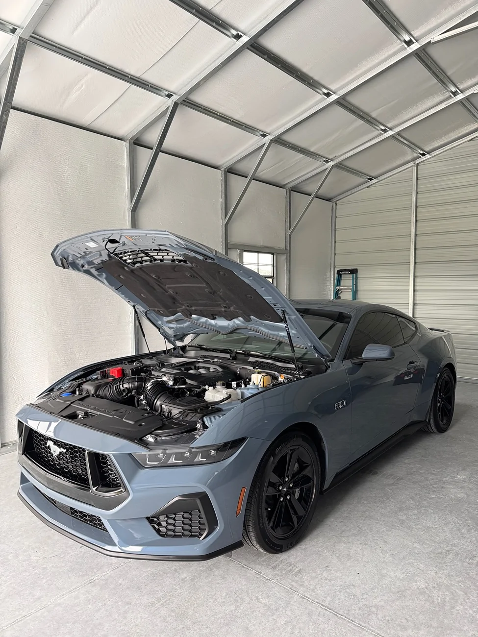 S650 Mustang Cool Daily Random S650 Mustang Pics -- Post Yours! 📸 IMG_7678