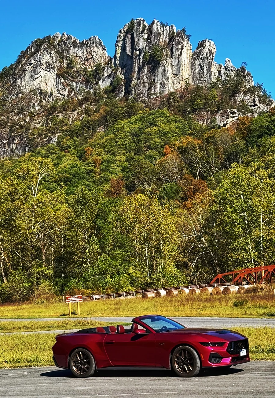 S650 Mustang Cool Daily Random S650 Mustang Pics -- Post Yours! 📸 IMG_7237