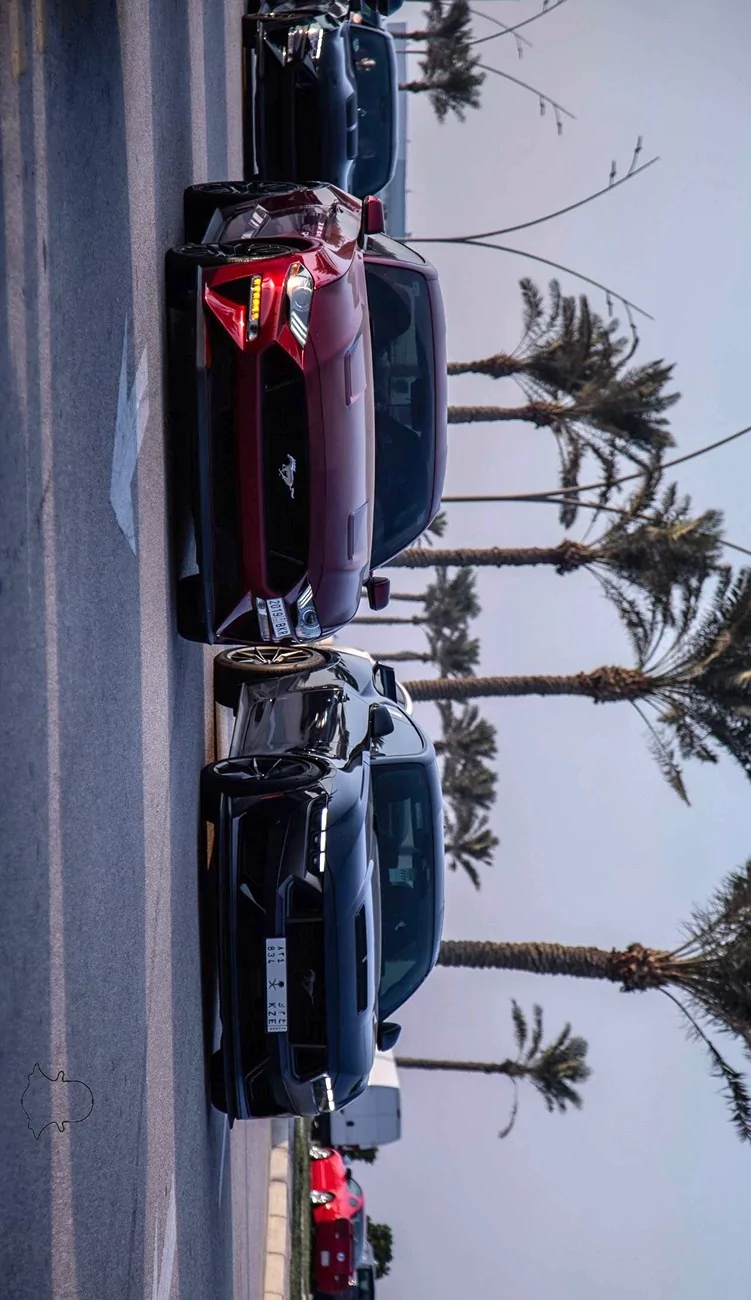 S650 Mustang Cool Daily Random S650 Mustang Pics -- Post Yours! 📸 savetik