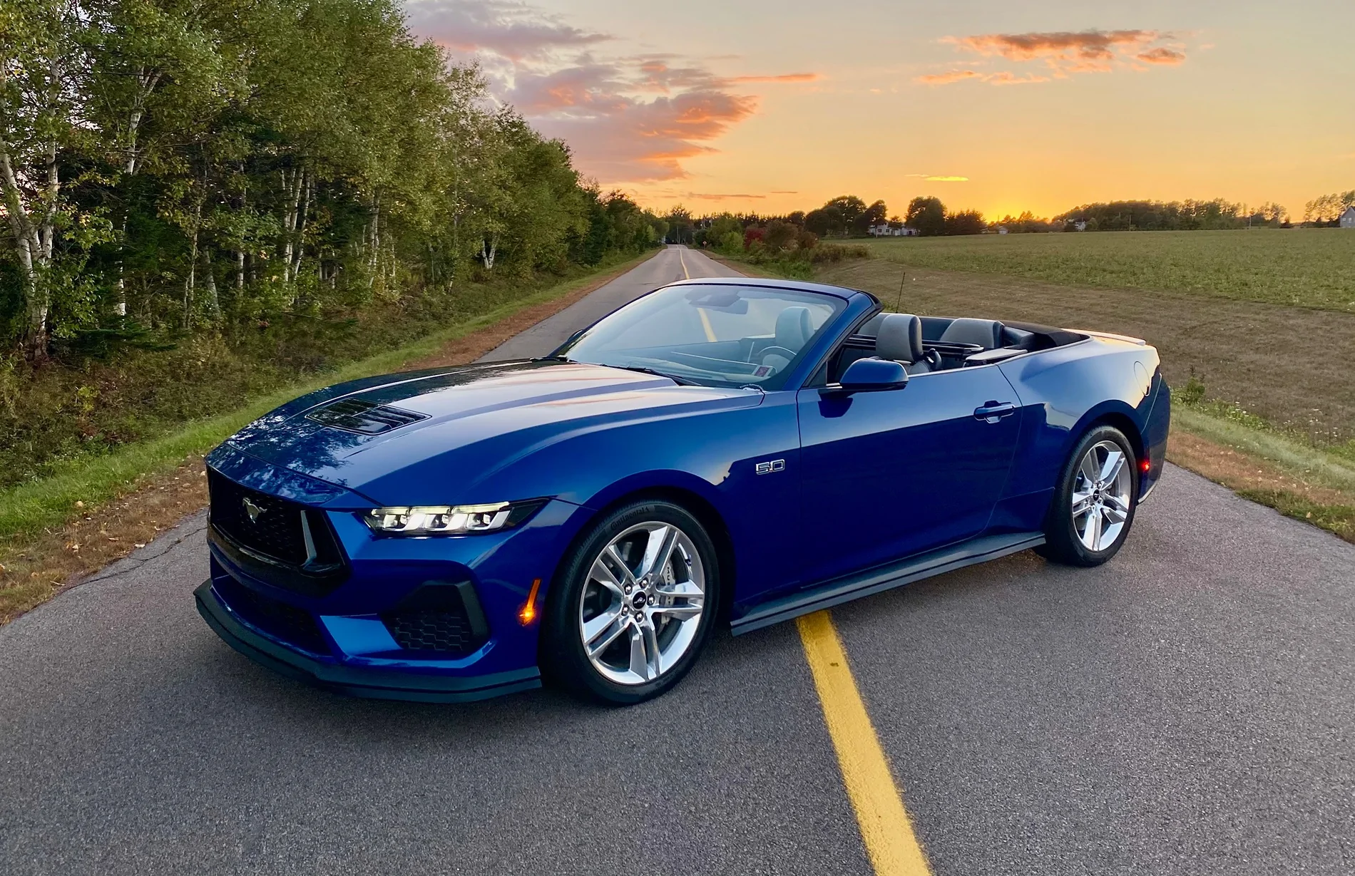 S650 Mustang Cool Daily Random S650 Mustang Pics -- Post Yours! 📸 IMG_4616