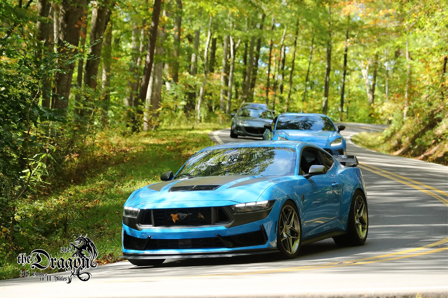 S650 Mustang Cool Daily Random S650 Mustang Pics -- Post Yours! 📸 5096178 TOD