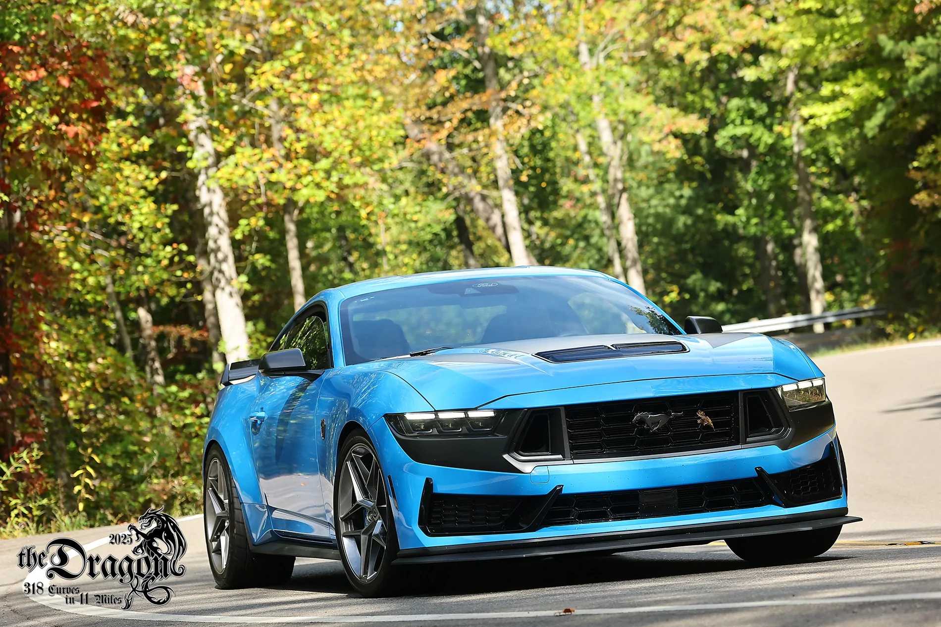 S650 Mustang Cool Daily Random S650 Mustang Pics -- Post Yours! 📸 5096179 TOD