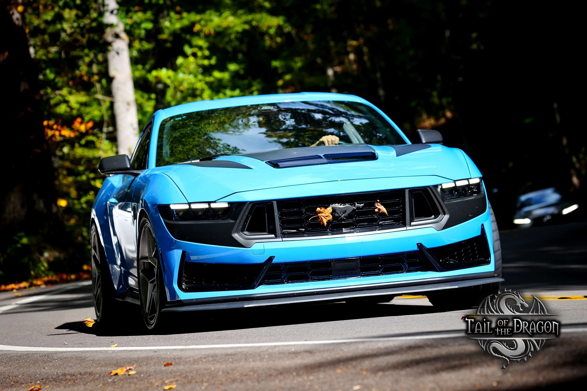 S650 Mustang Cool Daily Random S650 Mustang Pics -- Post Yours! 📸 5096175 TOD