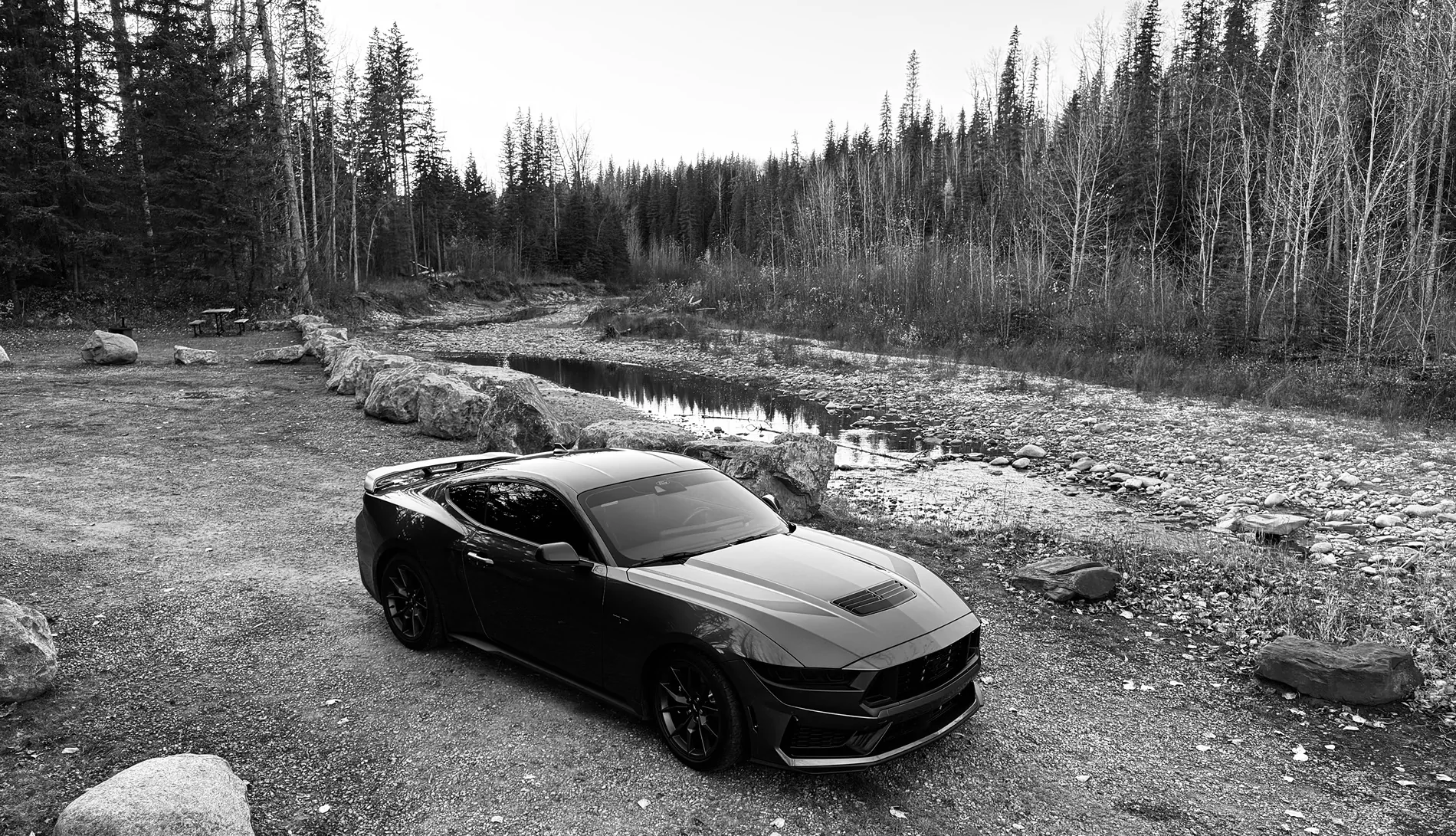 S650 Mustang Cool Daily Random S650 Mustang Pics -- Post Yours! 📸 IMG_8863
