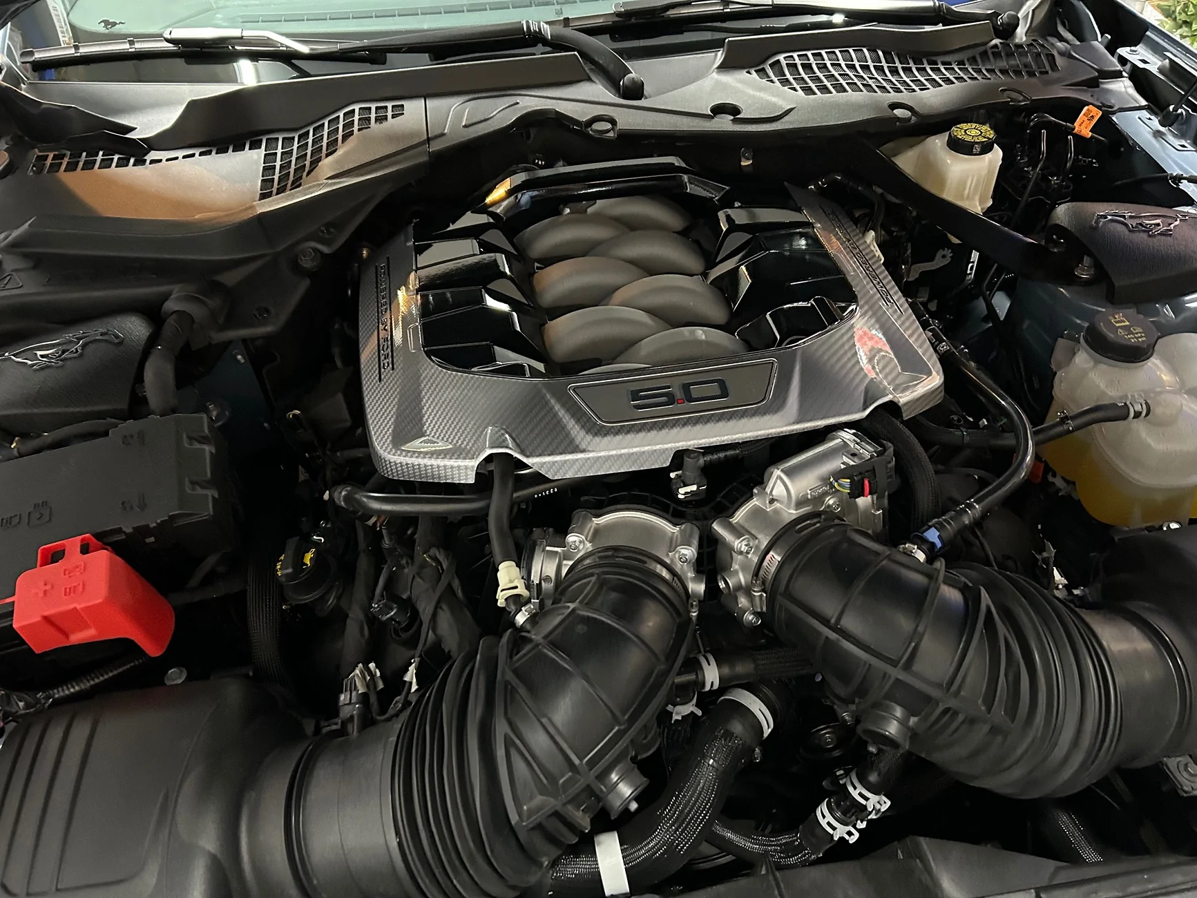 S650 Mustang Underhood "Ford Performance" Engine Dress Up Kit IMG_5032