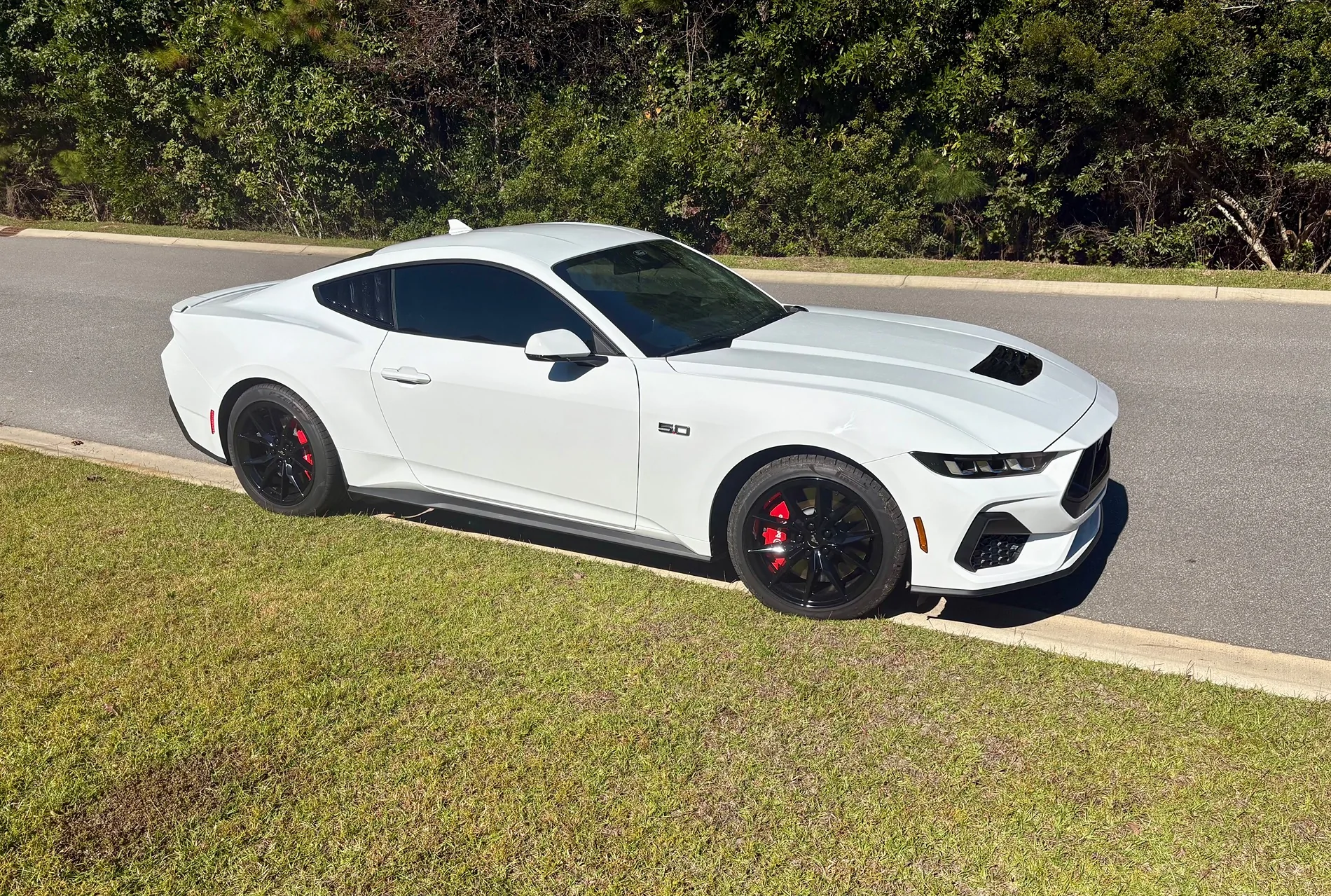 S650 Mustang What did you do to your S650 Mustang today?? 🙋🏻‍♂️ IMG_5579
