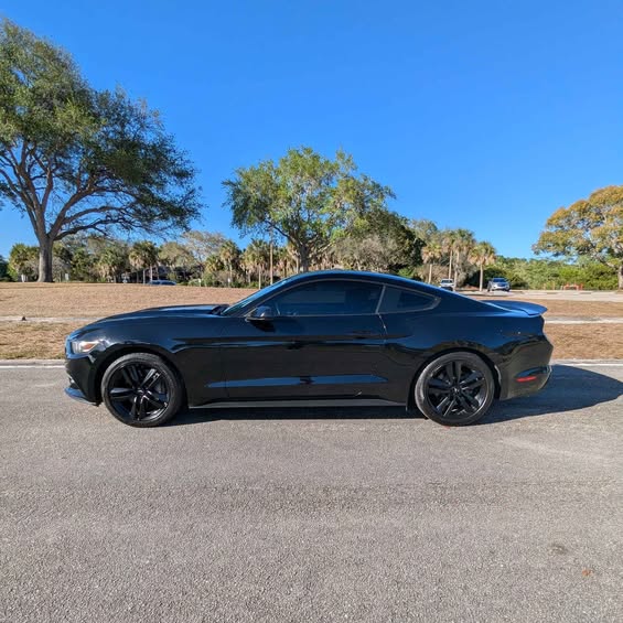 S650 Mustang FOR SALE - 2015 Mustang Ecoboost /6 speed manual 503652036_10161251180436497_8089541353769127205_n