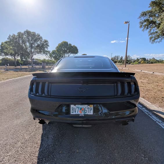 S650 Mustang FOR SALE - 2015 Mustang Ecoboost /6 speed manual 504150570_10161251180371497_5650412214095447903_n