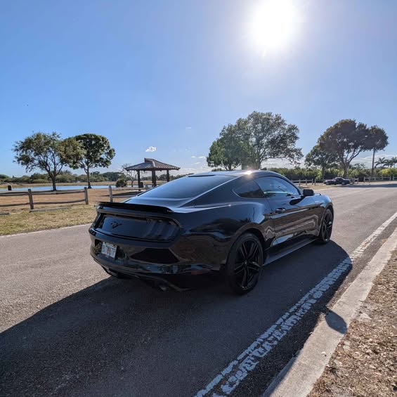 S650 Mustang FOR SALE - 2015 Mustang Ecoboost /6 speed manual 503670617_10161251180246497_2847999425575524509_n
