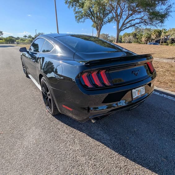 S650 Mustang FOR SALE - 2015 Mustang Ecoboost /6 speed manual 503946184_10161251180166497_7022637910118015308_n