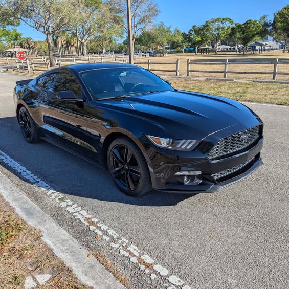 S650 Mustang FOR SALE - 2015 Mustang Ecoboost /6 speed manual 503838603_10161251180296497_1860847384610363533_n